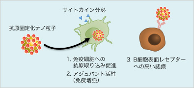 抗原をナノ粒子に固定化するメリット図